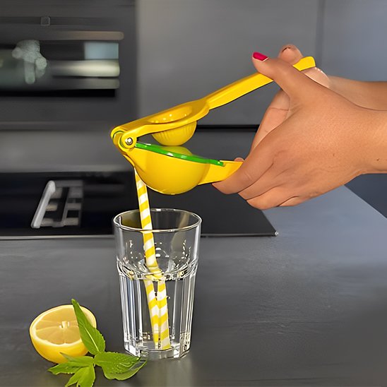 presse citron systĂšme levier